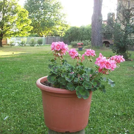 Appartmento In Con Piscina